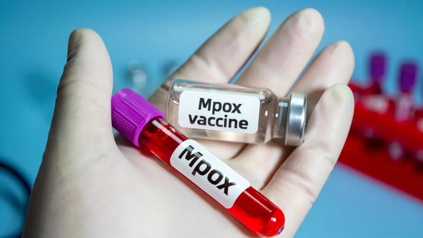 Kanadában is megjelent a majomhimlő