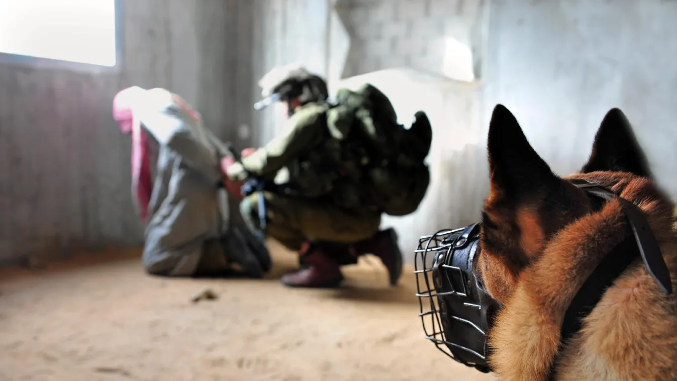 A gázai hatóság szerint brutális kórházi razziát tartott az IDF