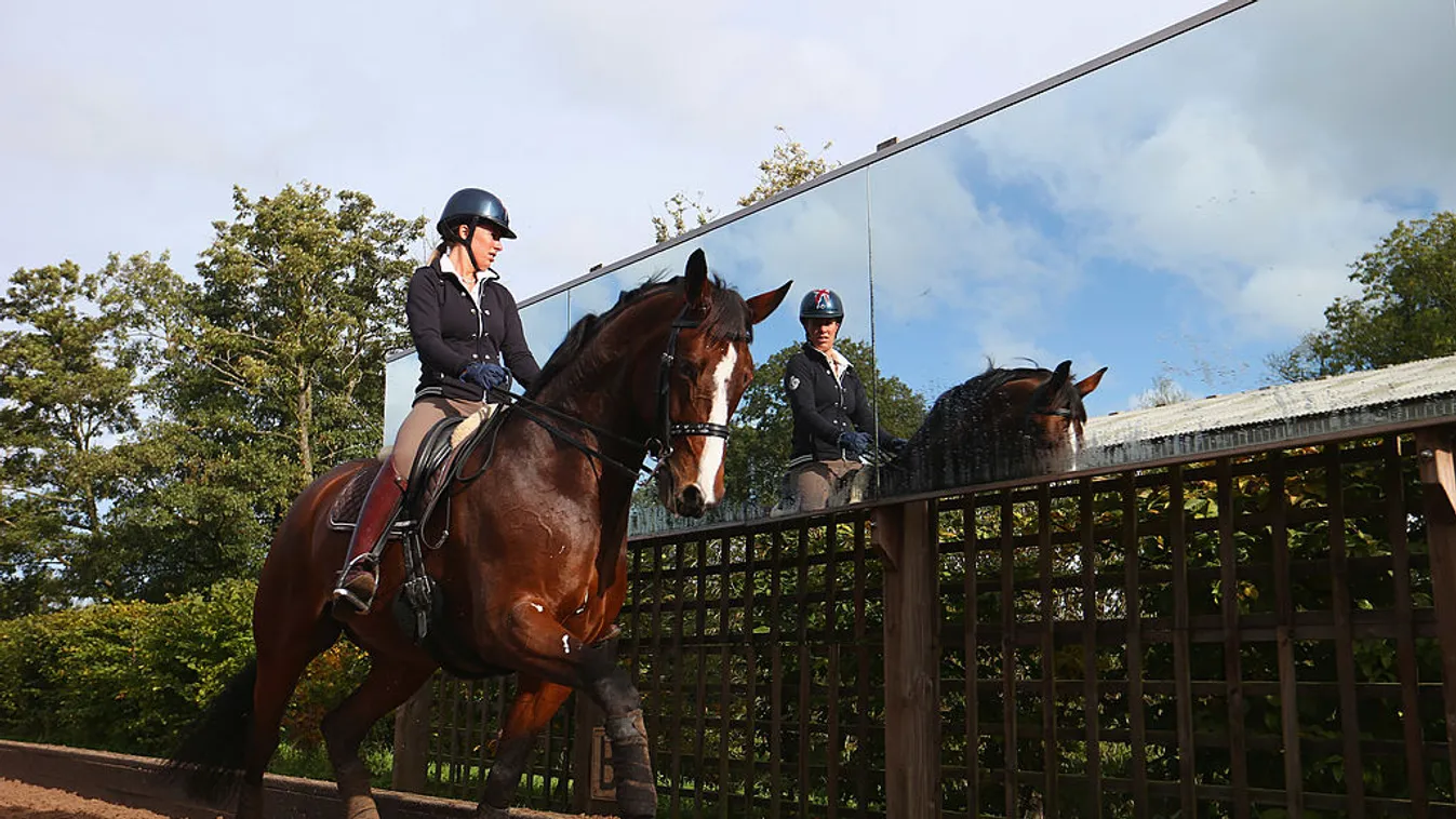 Megvan a büntetése a britek háromszoros olimpiai bajnokának, amiért ostorral vert egy lovat