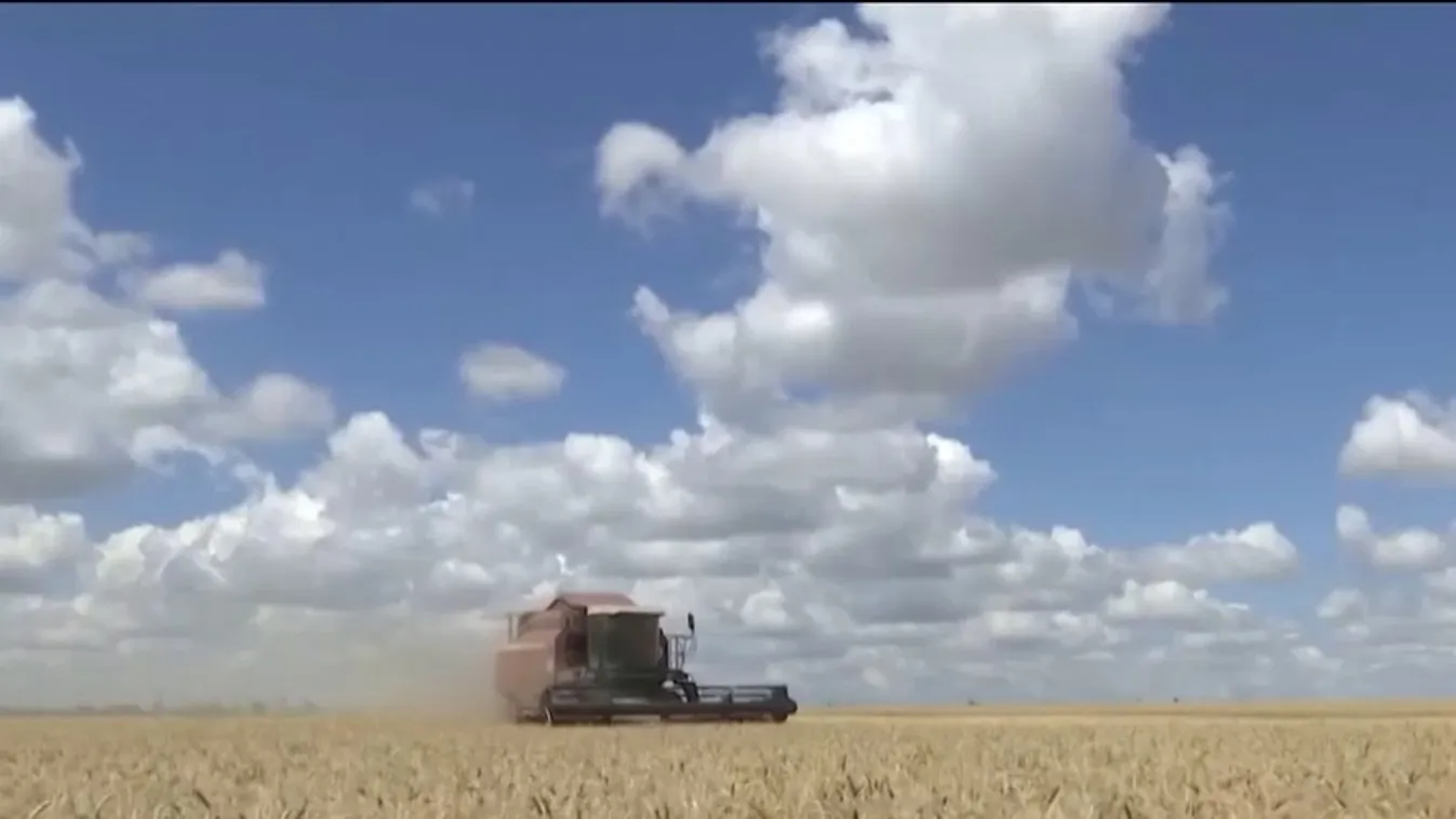 Csaknem 30 milliárd forintos keretösszeggel folytatódik a mezőgazdasági kisüzemek beruházási támogatása  + videó