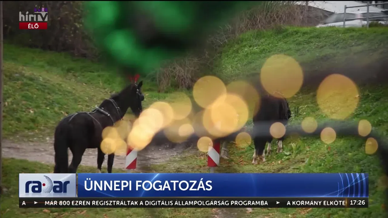 Radar - Ünnepi fogatozás