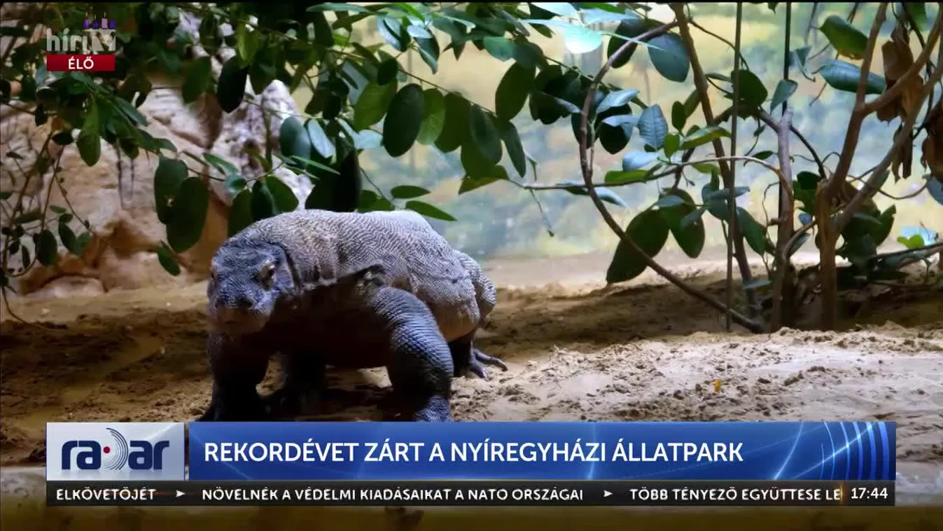 Radar - Rekordévet zárt a Nyíregyházi Állatpark (2024-12-18)