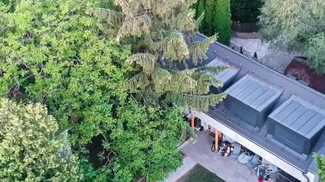 Átmenetileg felfüggesztették a Tordai Bence házára kiadott bontási határozatot + videó
