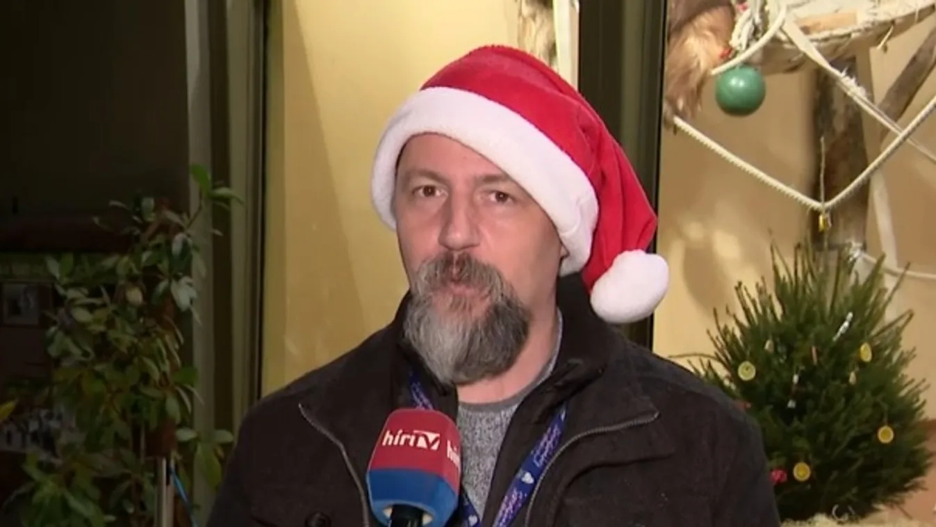 Így tartják az állatok karácsonyát + videó