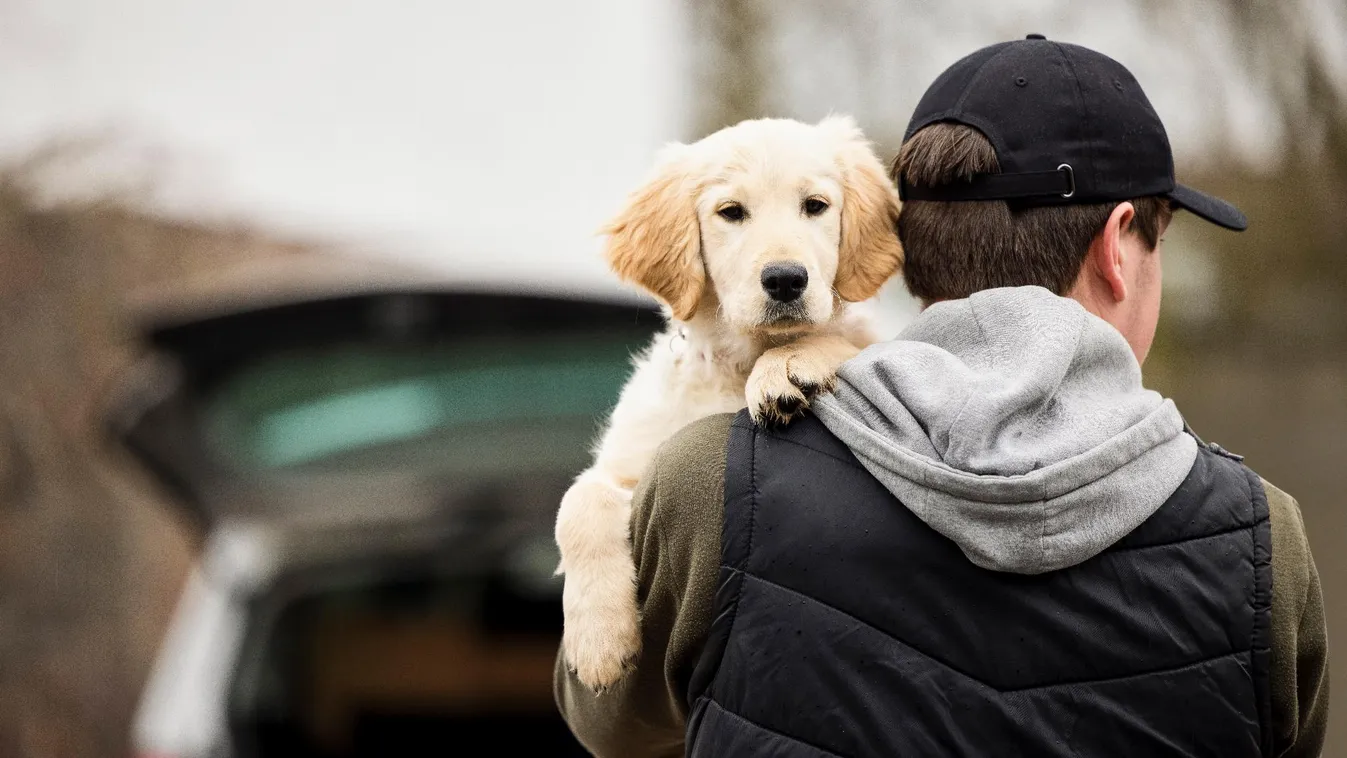 Újabb 140 töltőállomására helyez ki kutyachip-leolvasót a Mol + videó