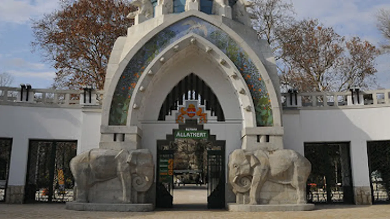 Adventi zebracsikó a Budapesti Állatkertben