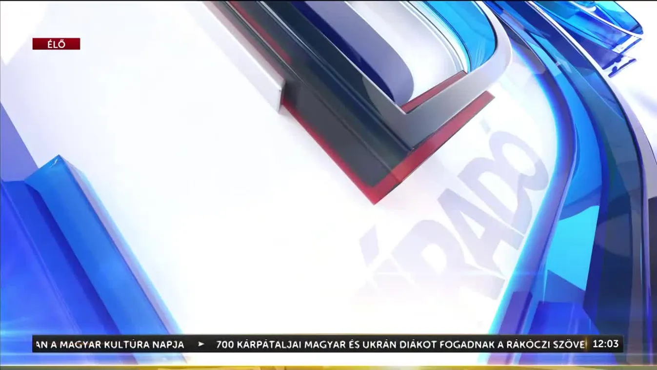 SOKAN BÍRÁLJÁK MÁR MOST DONALD TRUMPOT ÉS ELON MUSKOT