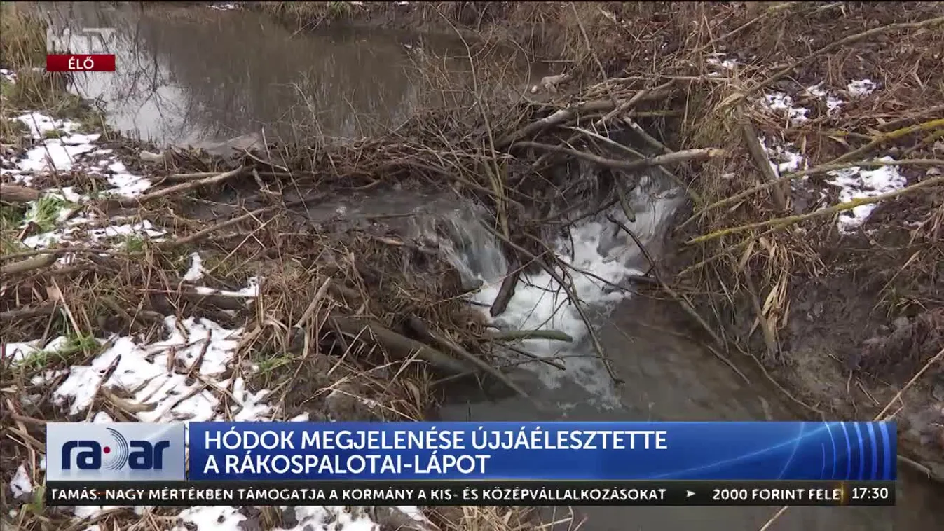 Radar – Mentsük meg a Rákospalotai-lápot!