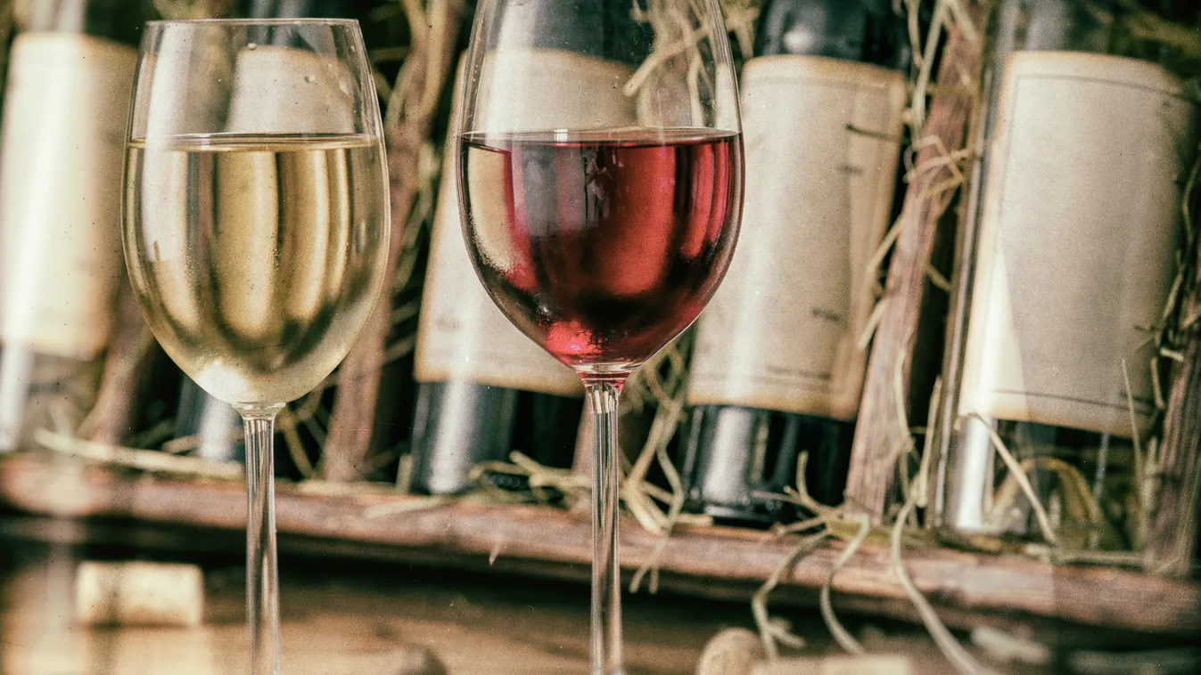 Tokaji és egri termelők nyerték a Magyar Bor Nagydíjat