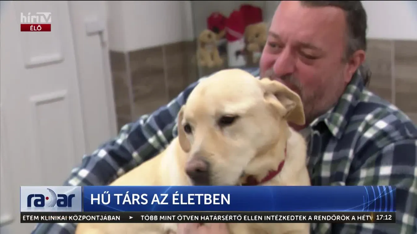 Radar - Hű társ az életben