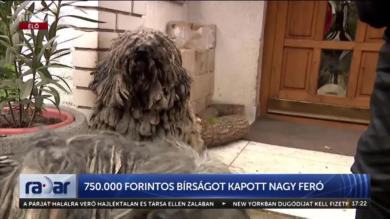 Radar - 750.000 forintos bírságot kapott Nagy Feró