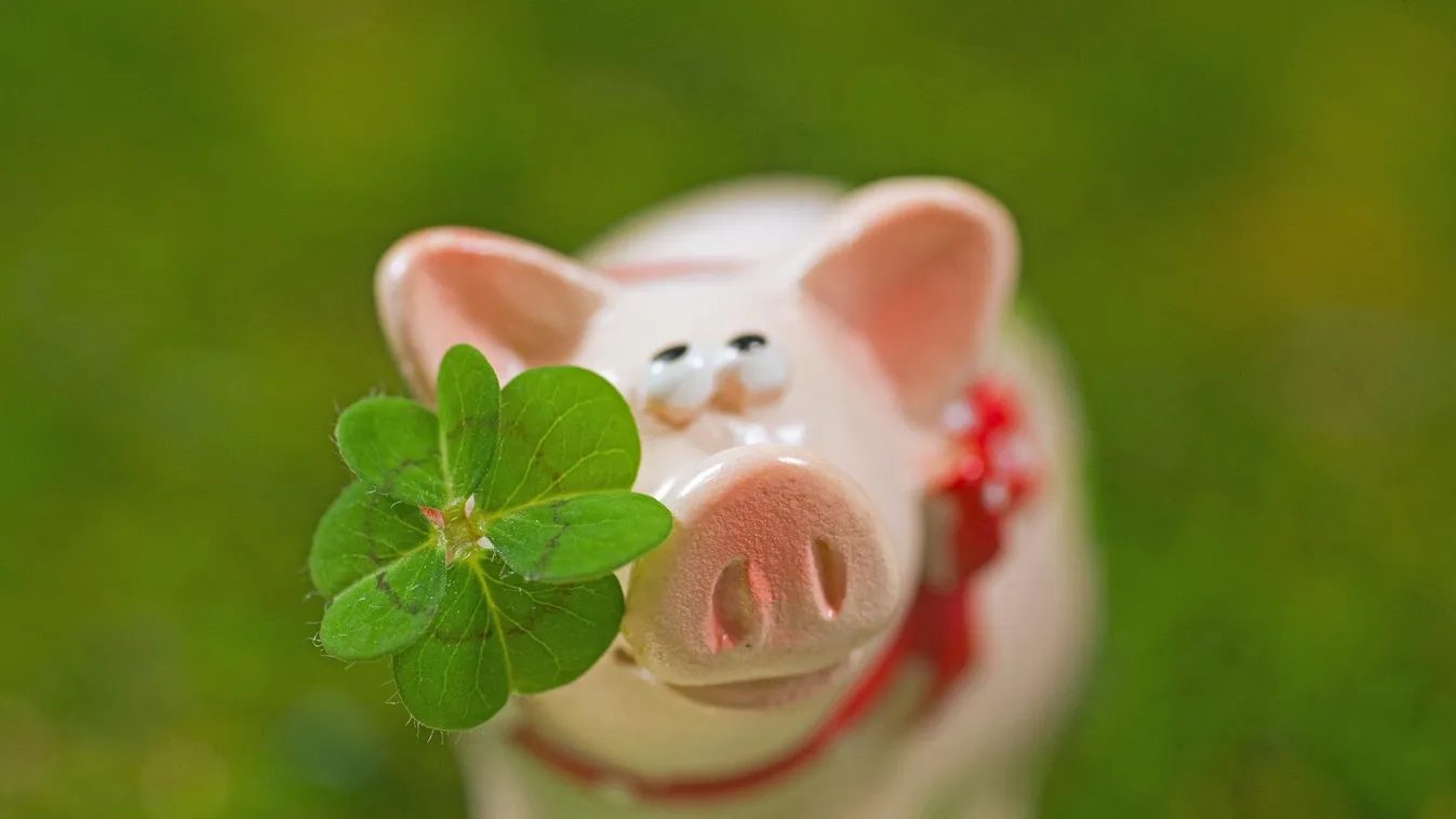 Radar - Újévi hiedelmek + videó