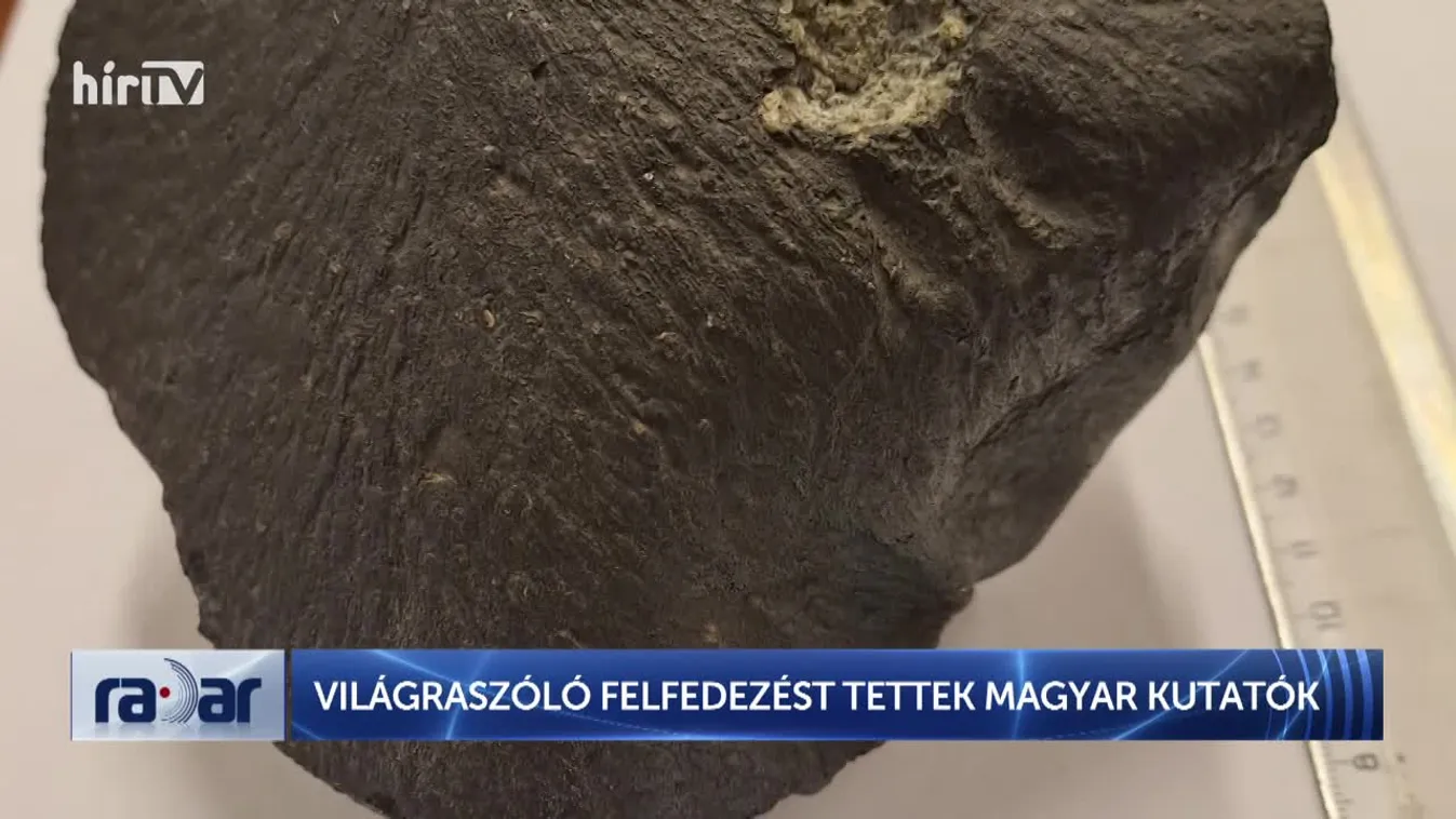 Radar - Világraszóló felfedezést tettek magyar kutatók