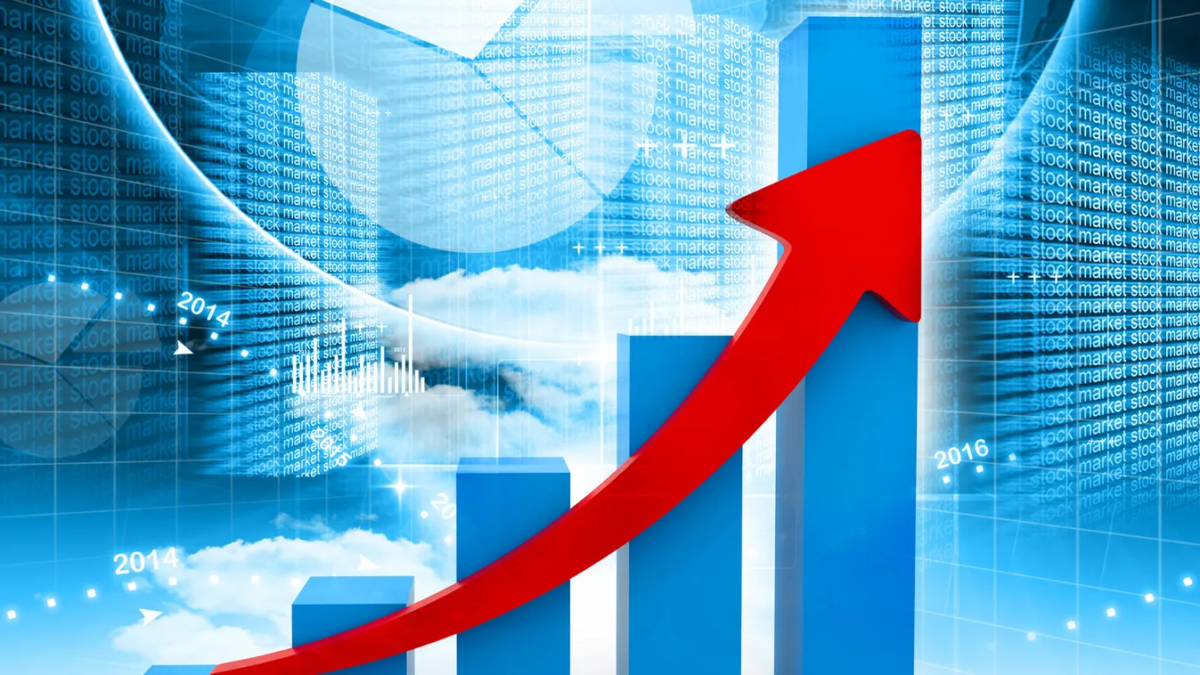 A magyarországi vállalatok 50 százaléka nettó árbevételének növekedésére számít az idén