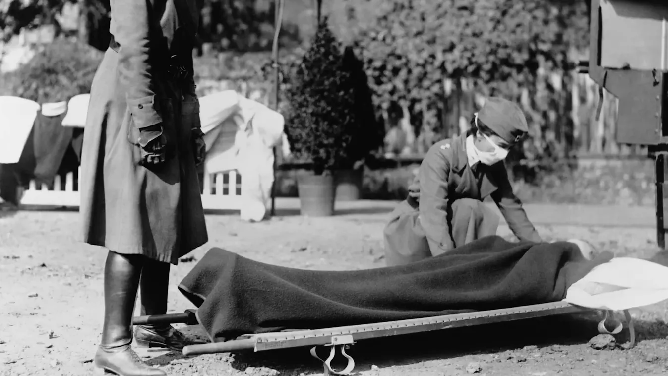 Radar – A történelem legapróbb népirtója + videó