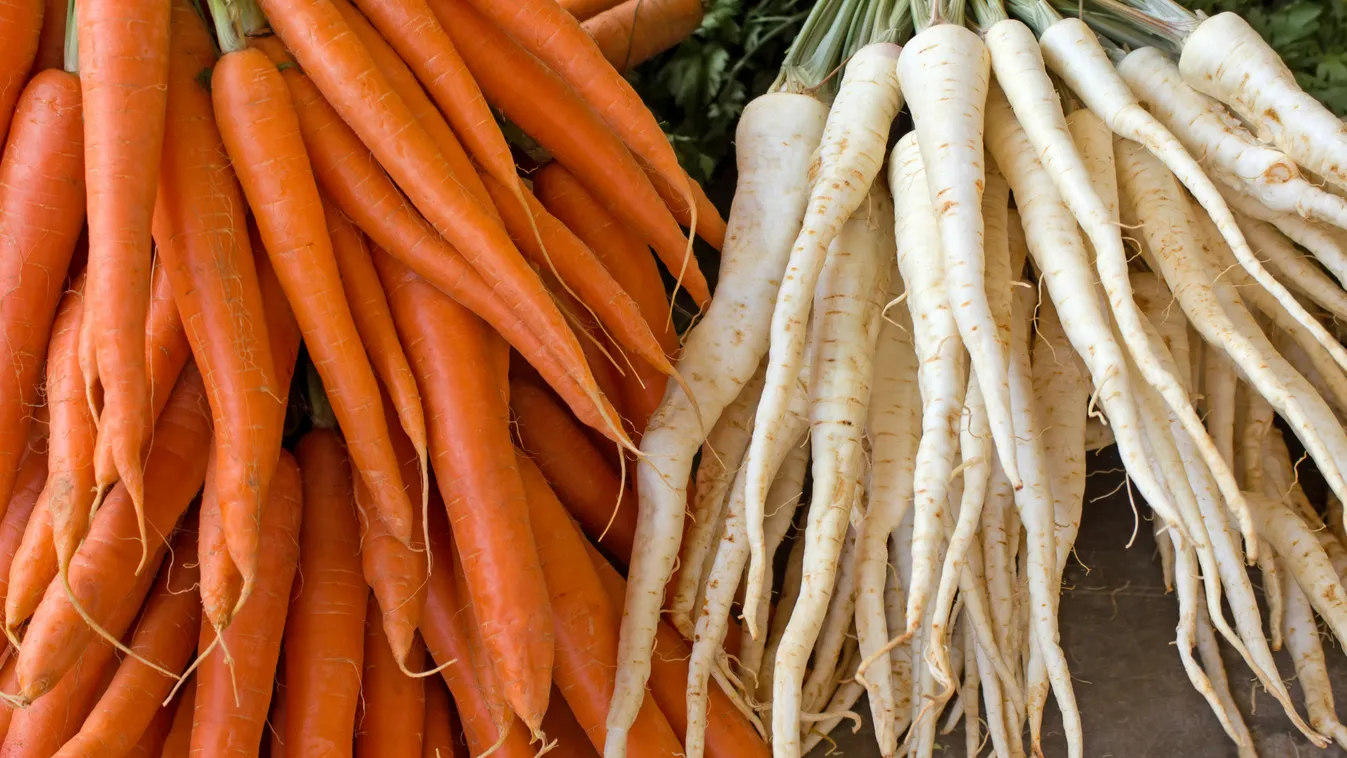 Jó évet zárhattak tavaly a sárgarépa-termesztő gazdálkodók