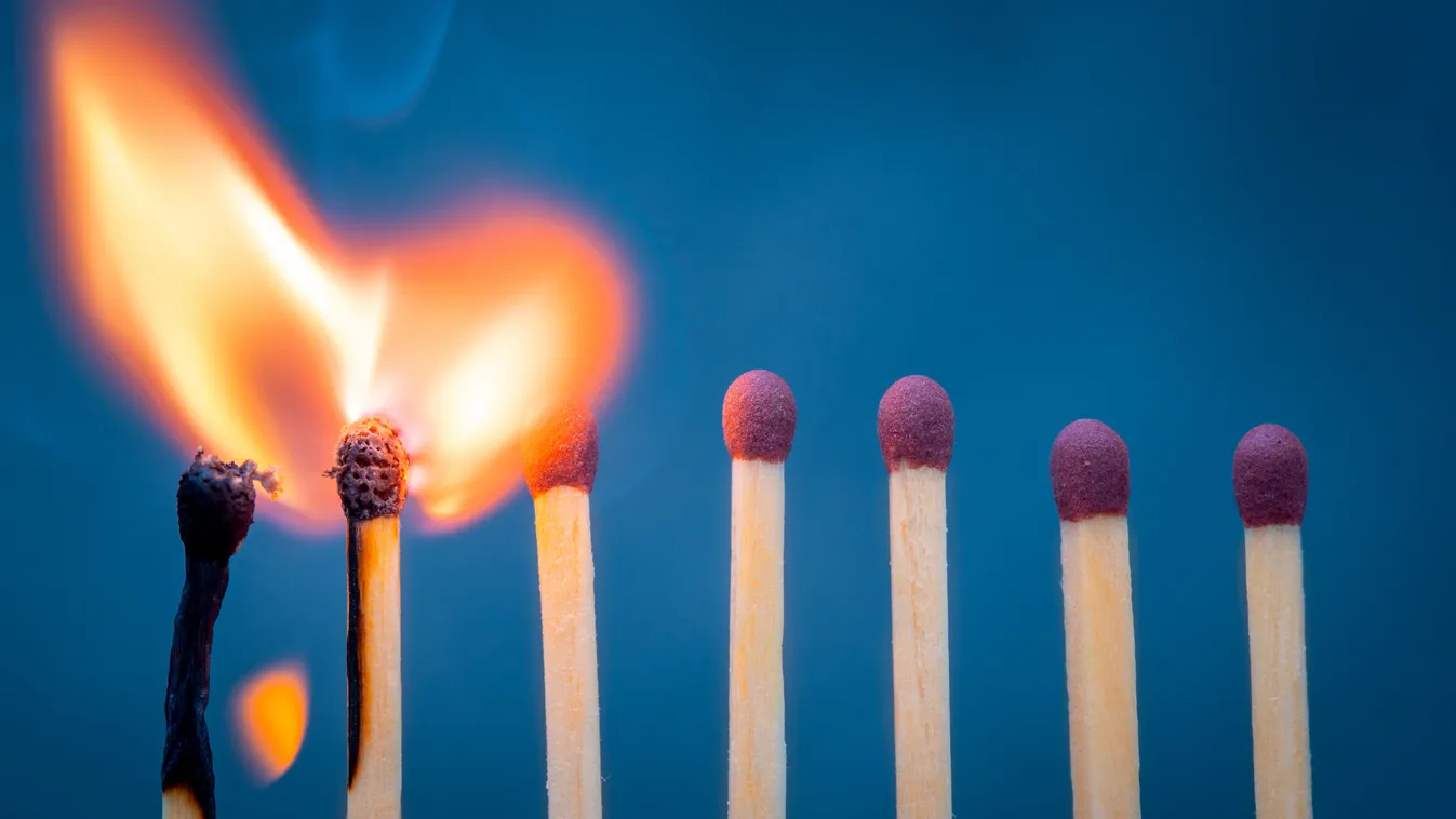 Láncreakció: Hamarosan telefonon egyeztethet egymással Donald Trump és Vlagyimir Putyin + videó