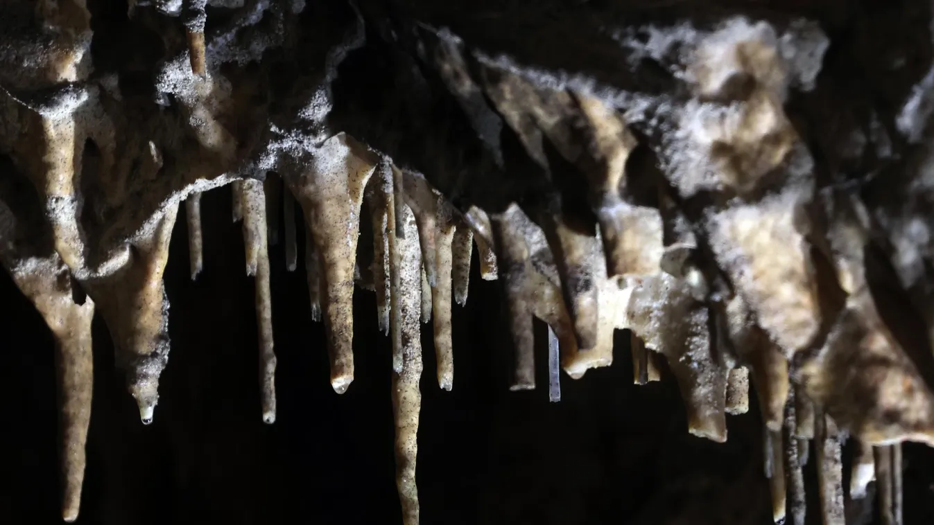 Agrárminisztérium: idén 40 éves az Aggteleki Nemzeti Park