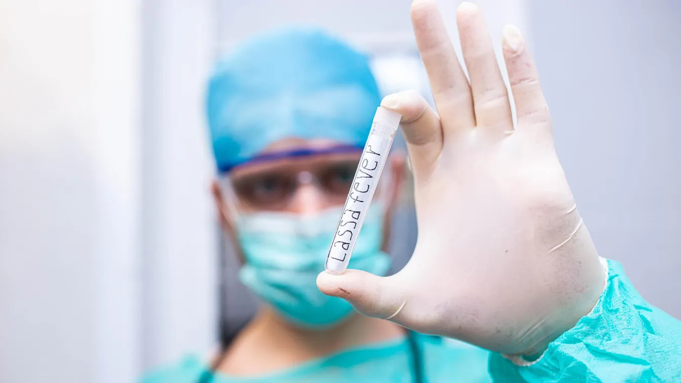 Sorra szedi emberi áldozatait a patkányok ürülékéhez visszavezethető szörnyű kór