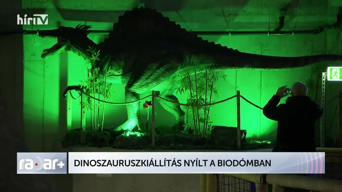 Radar+ Dinoszauruszkiállítás nyílt a Biodómban