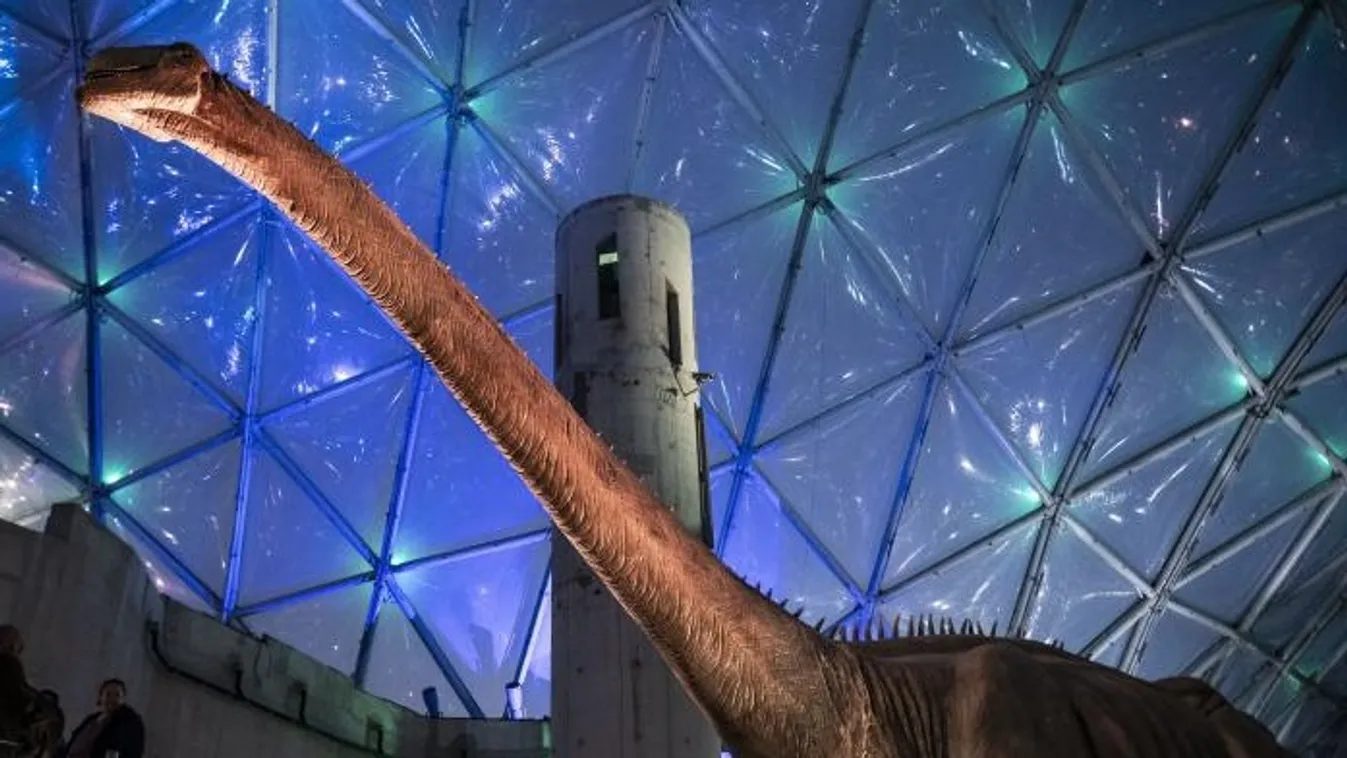 Őslénykiállítás nyílt a fővárosi állatkert Biodómjában