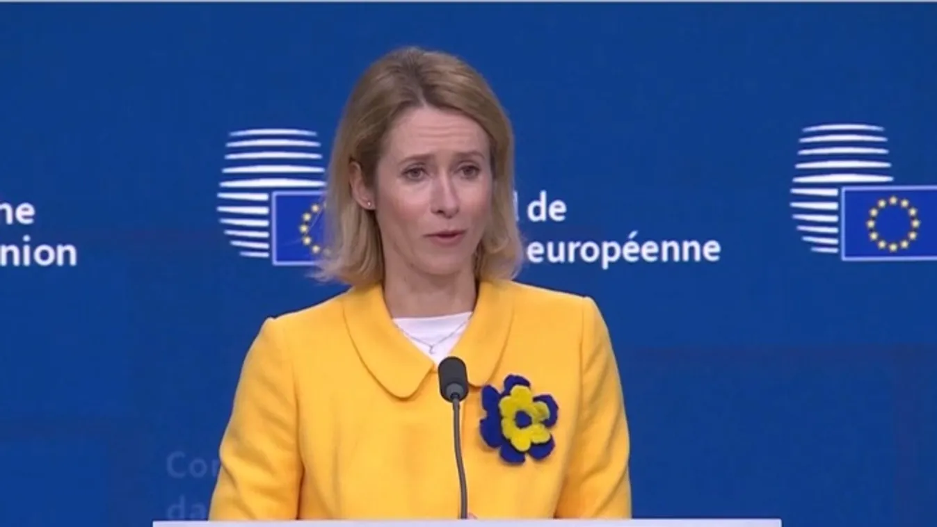 A külgazdasági és külügyminiszter szerint az uniós vezetők gyávák és alkalmatlanok feladatuk elvégzésére  + videó