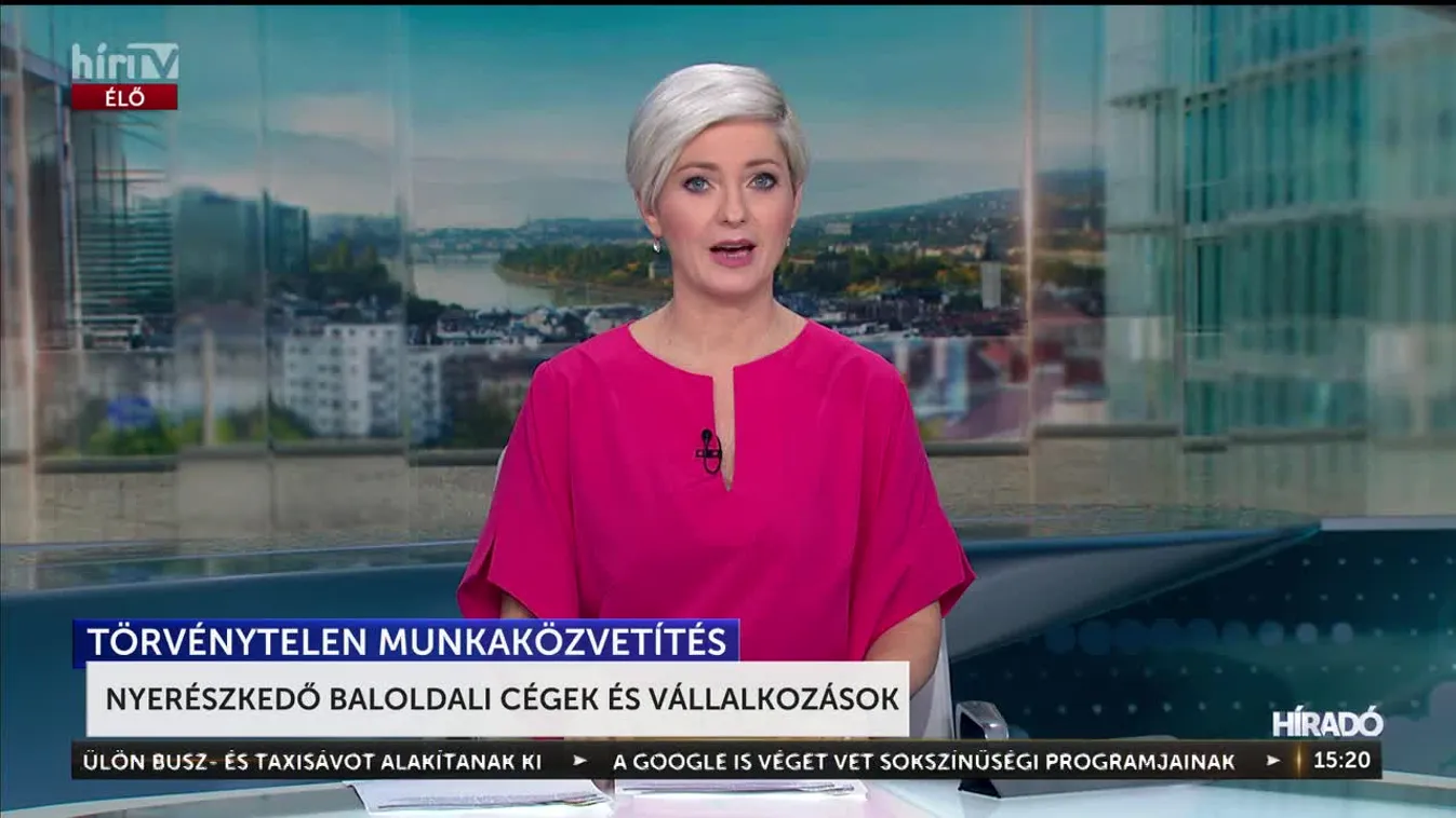 NYERÉSZKEDŐ BALOLDALI CÉGEK ÉS VÁLLALKOZÁSOK