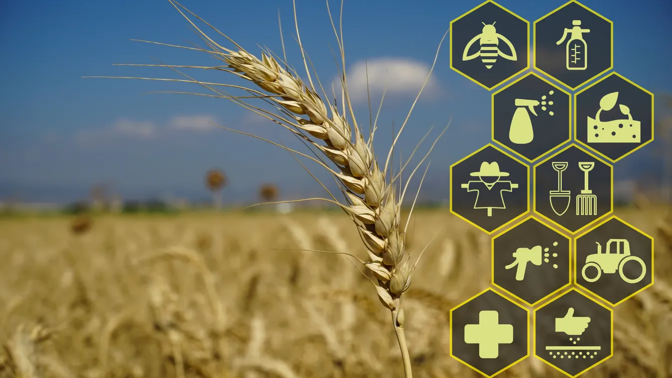 Agrárkamara-elnök: az Európai Bizottság ellehetetleníti Európa mezőgazdasági termelését