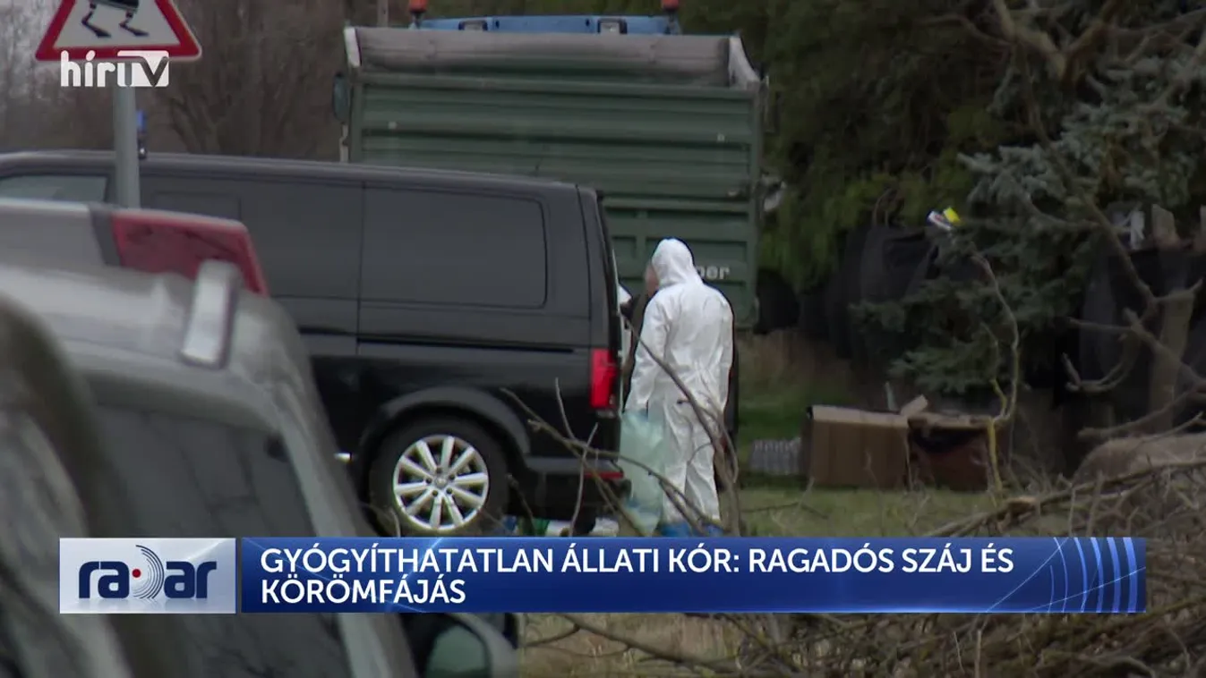 Radar - GYÓGYÍTHATATLAN ÁLLATI KÓR: RAGADÓS SZÁJ ÉS KÖRÖMFÁJÁS
