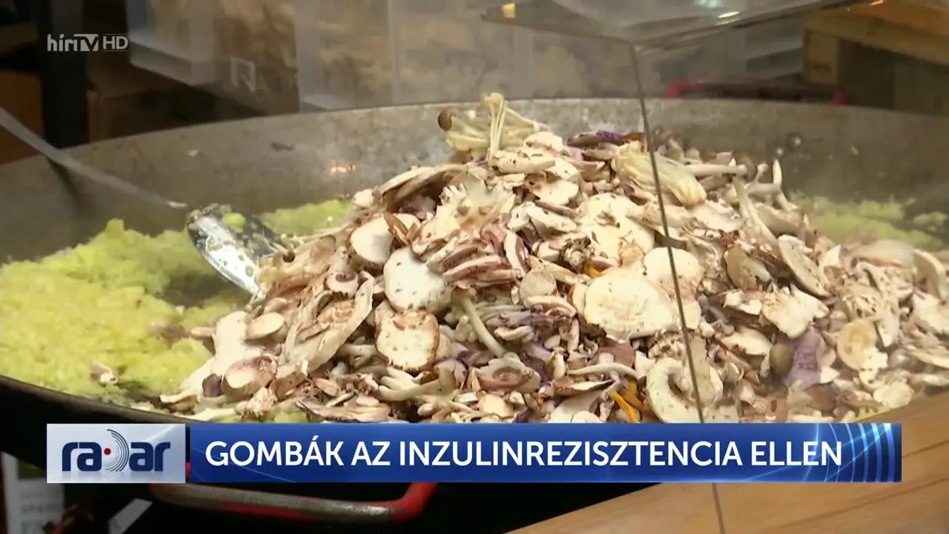 Radar - GOMBÁK AZ INZULINREZISZTENCIA ELLEN