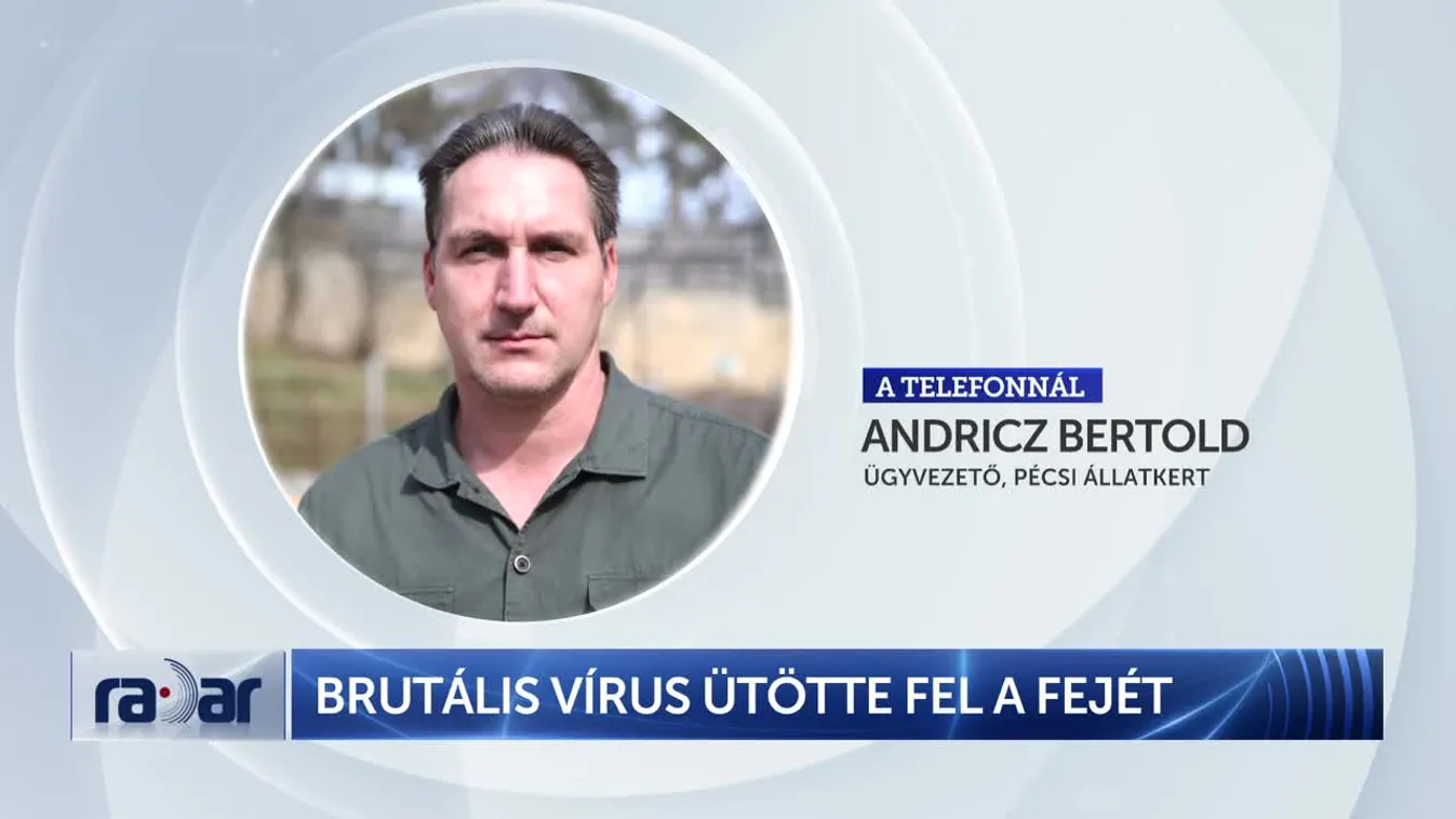 Radar - Brutális vírus ütötte fel a fejét + videó