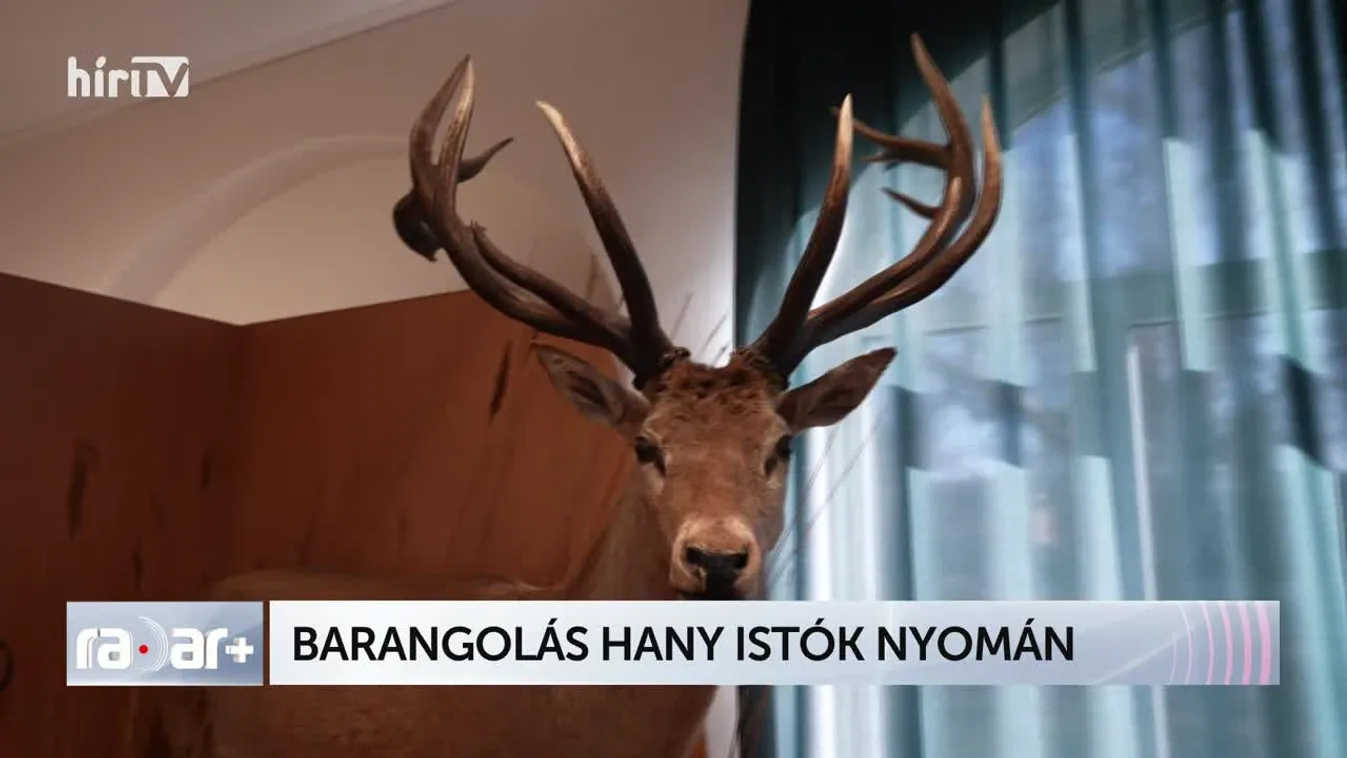 Radar - BARANGOLÁS HANY ISTÓK NYOMÁN