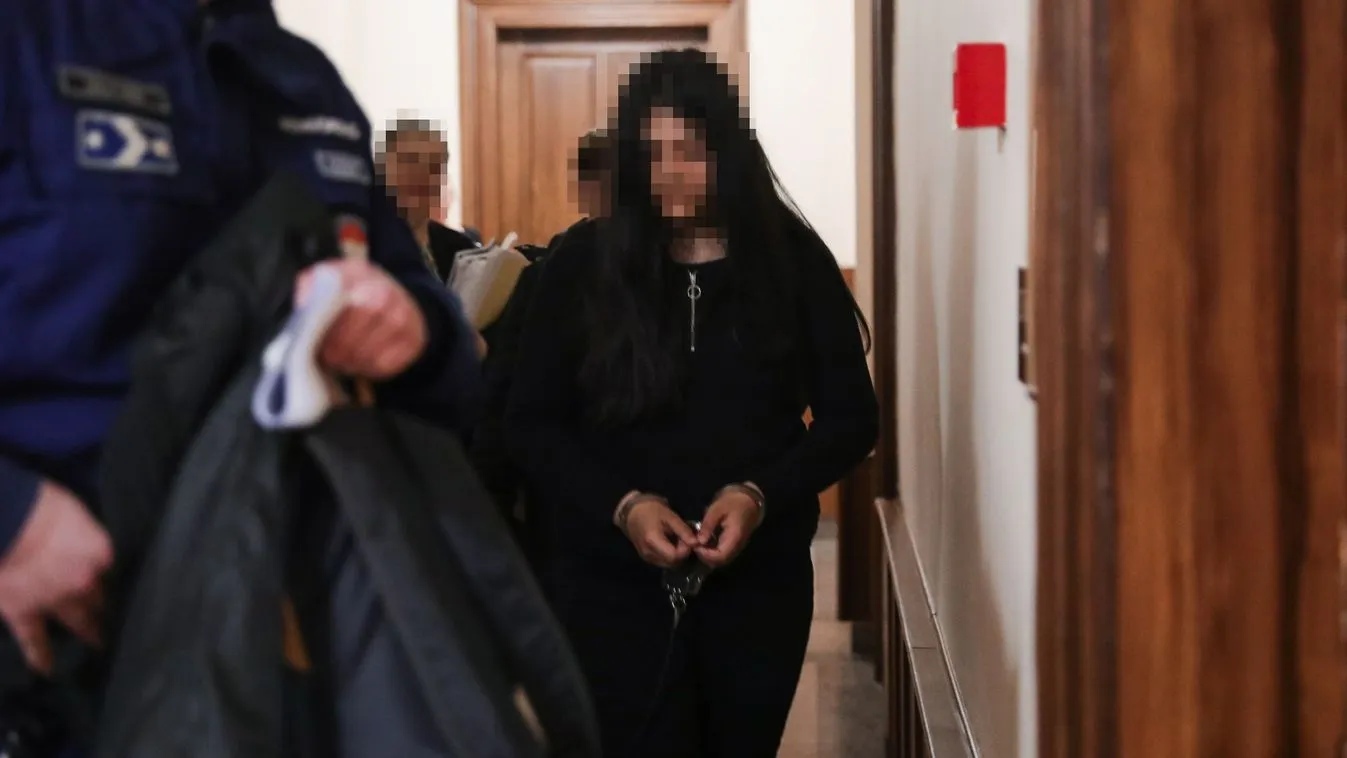 Eldőlt az iskolatársát Bőnyben megkéselő diák sorsa