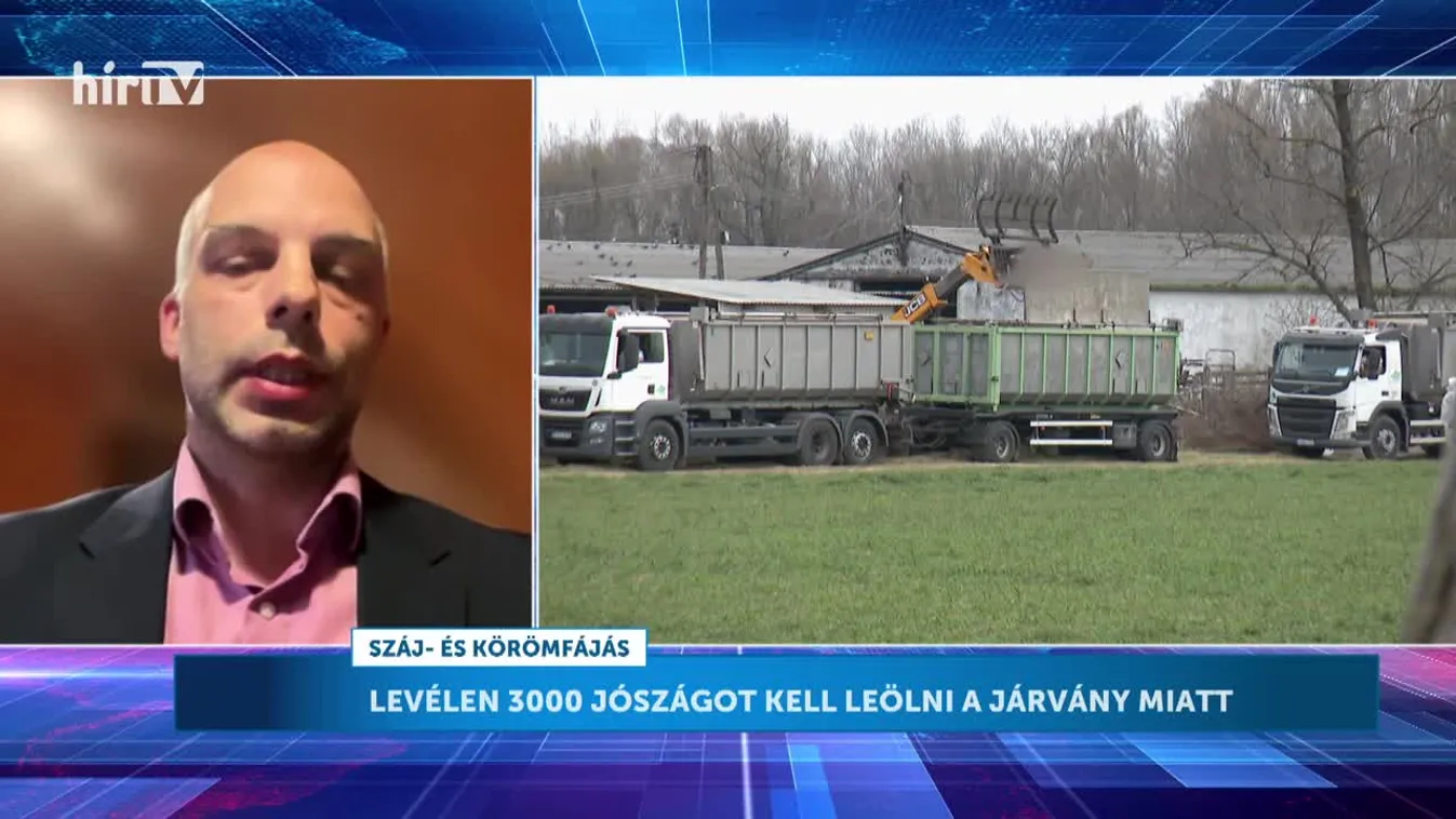 Napi aktuális - Pásztor Szabolcs - A betegség több mint 50 év után ütötte fel ismét a fejét Magyarországon