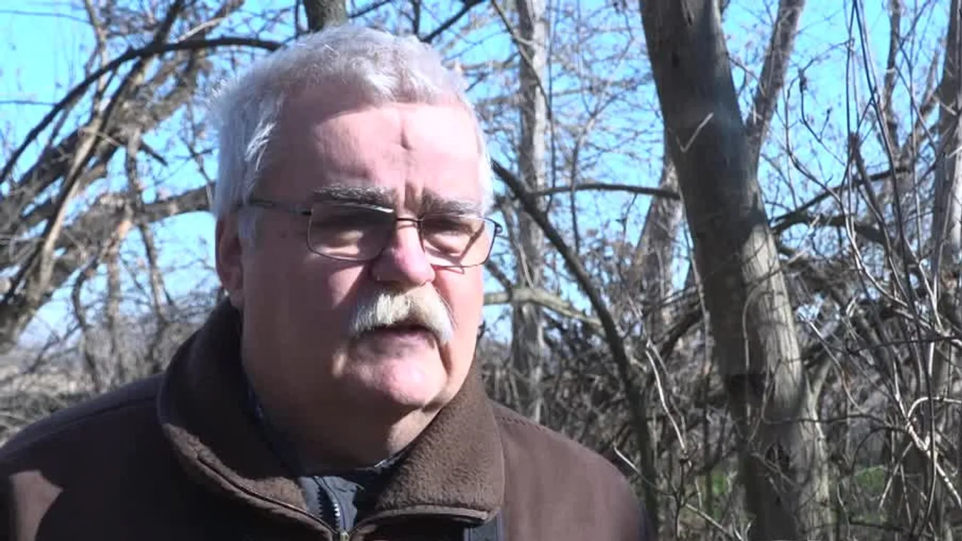 Radar - Elindult a medvehagyma szezon + videó