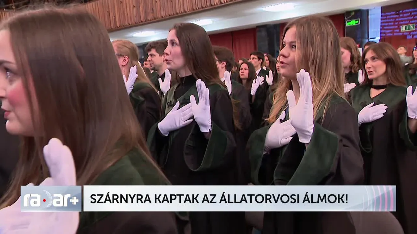 SZÁRNYRA KAPTAK AZ ÁLLATORVOSI ÁLMOK!