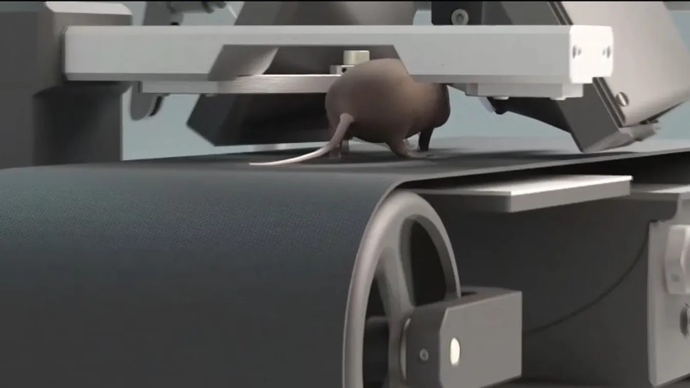 Radar – Egereknek készült VR-szemüveg: mérföldkő a látás- és az agykutatásban + videó