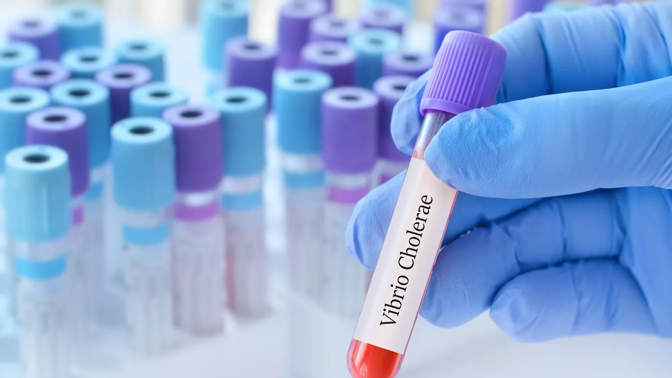 Tarol a kolerajárvány Angolában