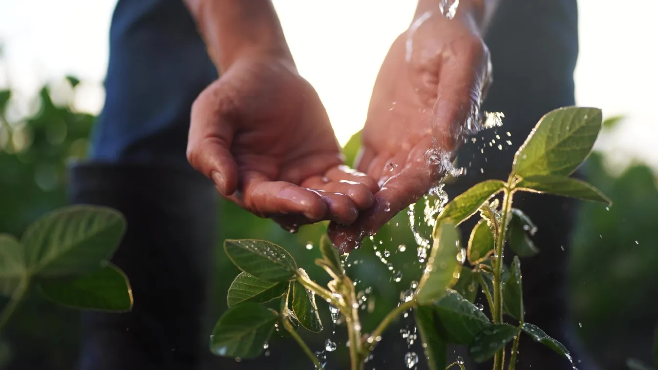 Szaktárca: új lehetőség a gazdálkodók számára az ökológiai célú vízpótlás + videó