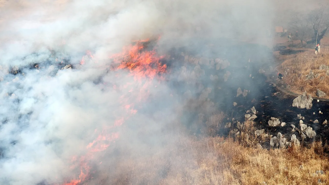 Hatalmas erdőtűz pusztít Japánban