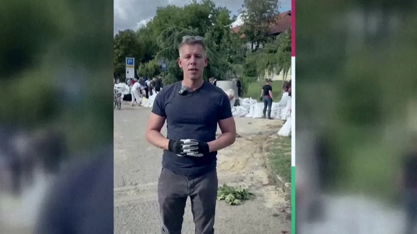 Célpont - Magyar Péter politikai pályafutása 5 + videó