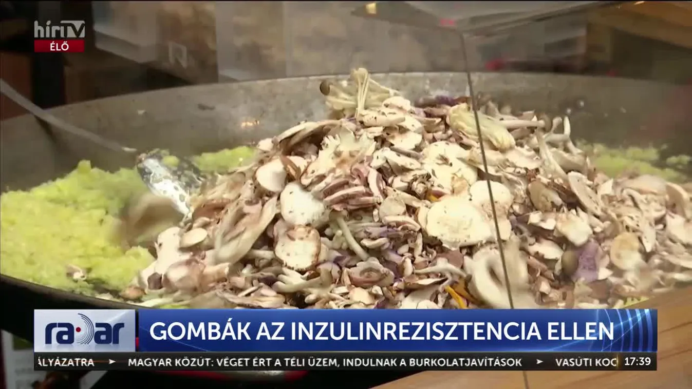 Radar - Gombák az inzulinrezisztencia ellen + videó