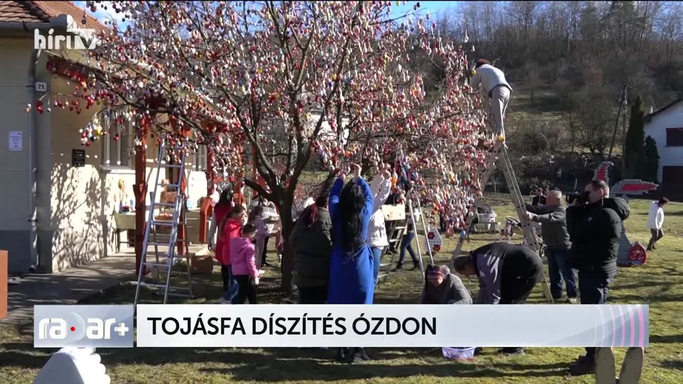 Radar - TOJÁSFA DÍSZÍTÉS ÓZDON