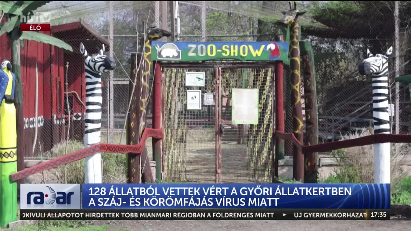 Radar - 128 ÁLLATBÓL VETTEK VÉRT A GYŐRI ÁLLATKERTBEN A SZÁJ- ÉS KÖRÖMFÁJÁS VÍRUS MIATT
