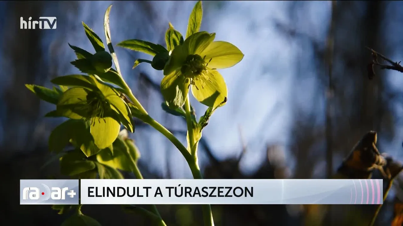 Radar + ELINDULT A TÚRASZEZON