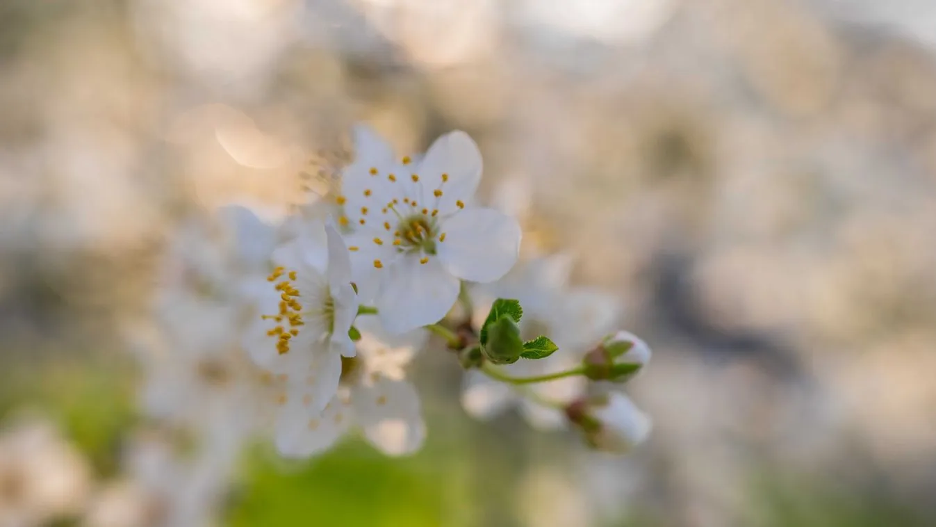 Kicsit késik a tavasz
