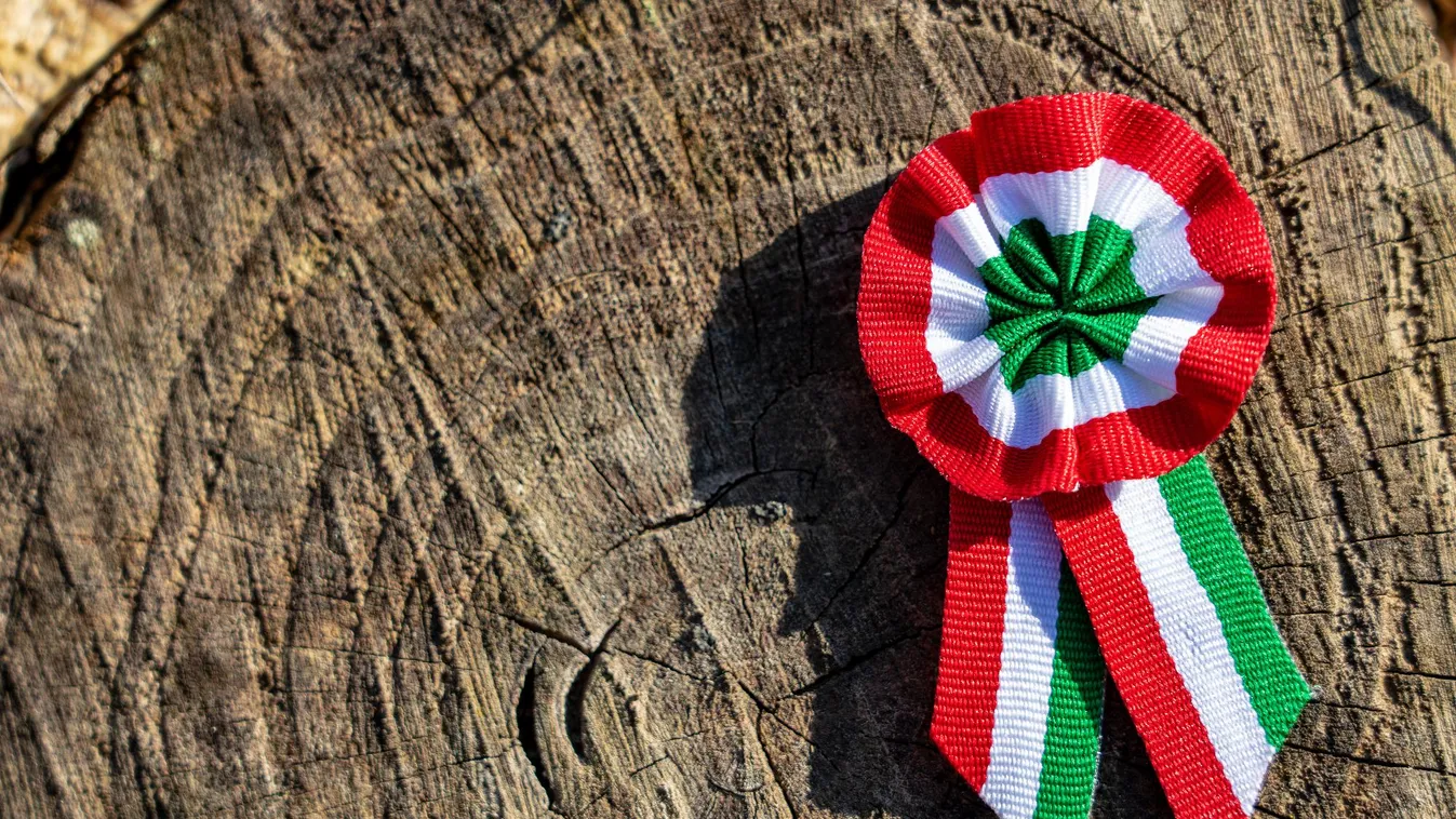 A román állami vezetők is köszöntötték magyar polgártársaikat