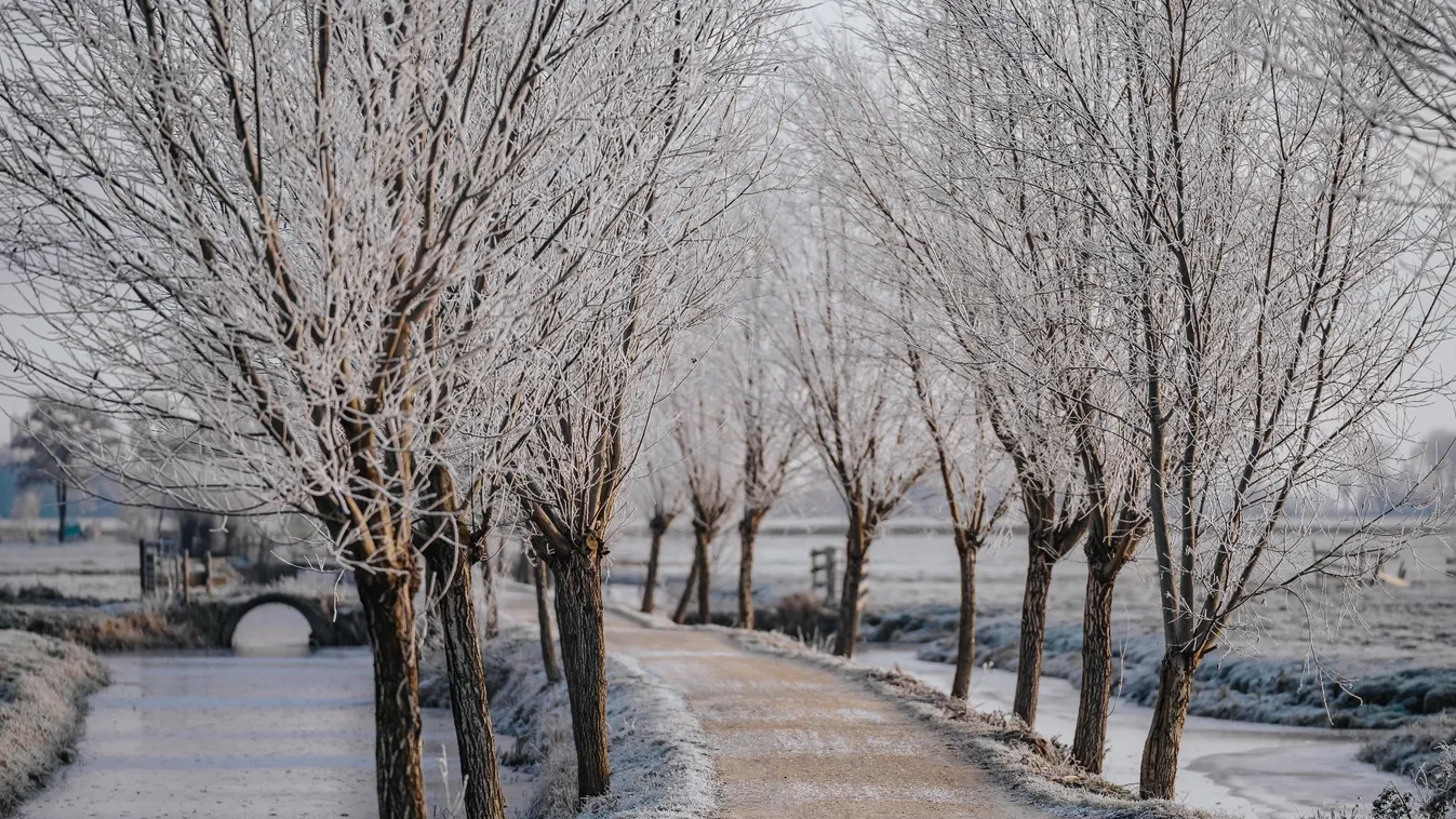 Enyhe és nagyon száraz volt a tél