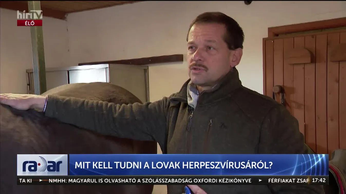 Radar - Amit tudni érdemes a lovak herpeszvírusáról + videó
