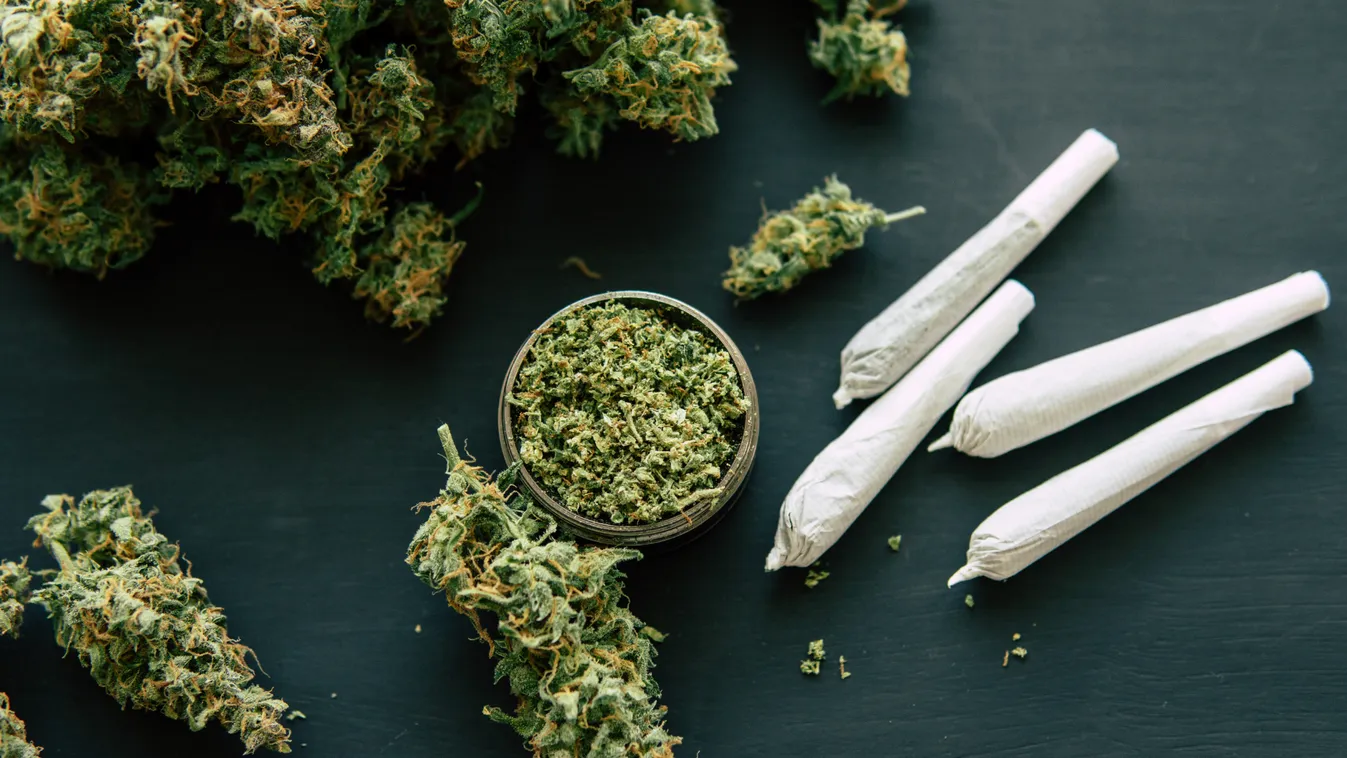 Elfogtak egy német férfit, aki kannabiszt termesztett Budapesten